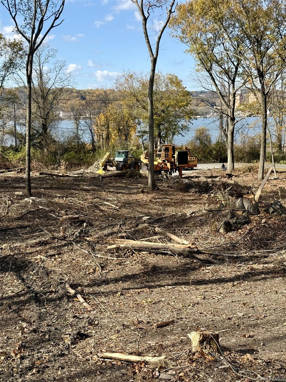 Lot #16 River Road North Chelsea, NY 12512 - Photo 2 of 4 a view of a yard with a tree