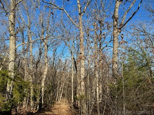 $125,500 | Hwy-w St Versailles Mo 65011, Barnett, MO 65011