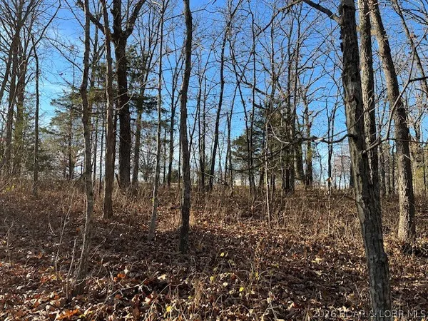 $125,500 | Hwy-w St Versailles Mo 65011, Barnett, MO 65011