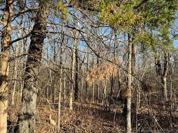 $125,500 | Hwy-w St Versailles Mo 65011, Barnett, MO 65011