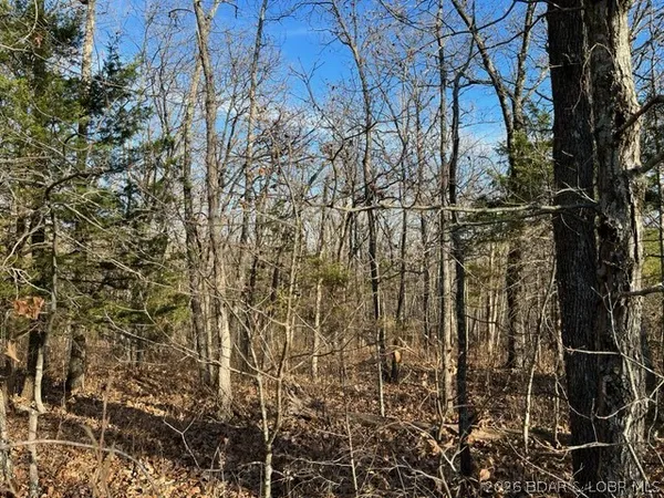 $125,500 | Hwy-w St Versailles Mo 65011, Barnett, MO 65011