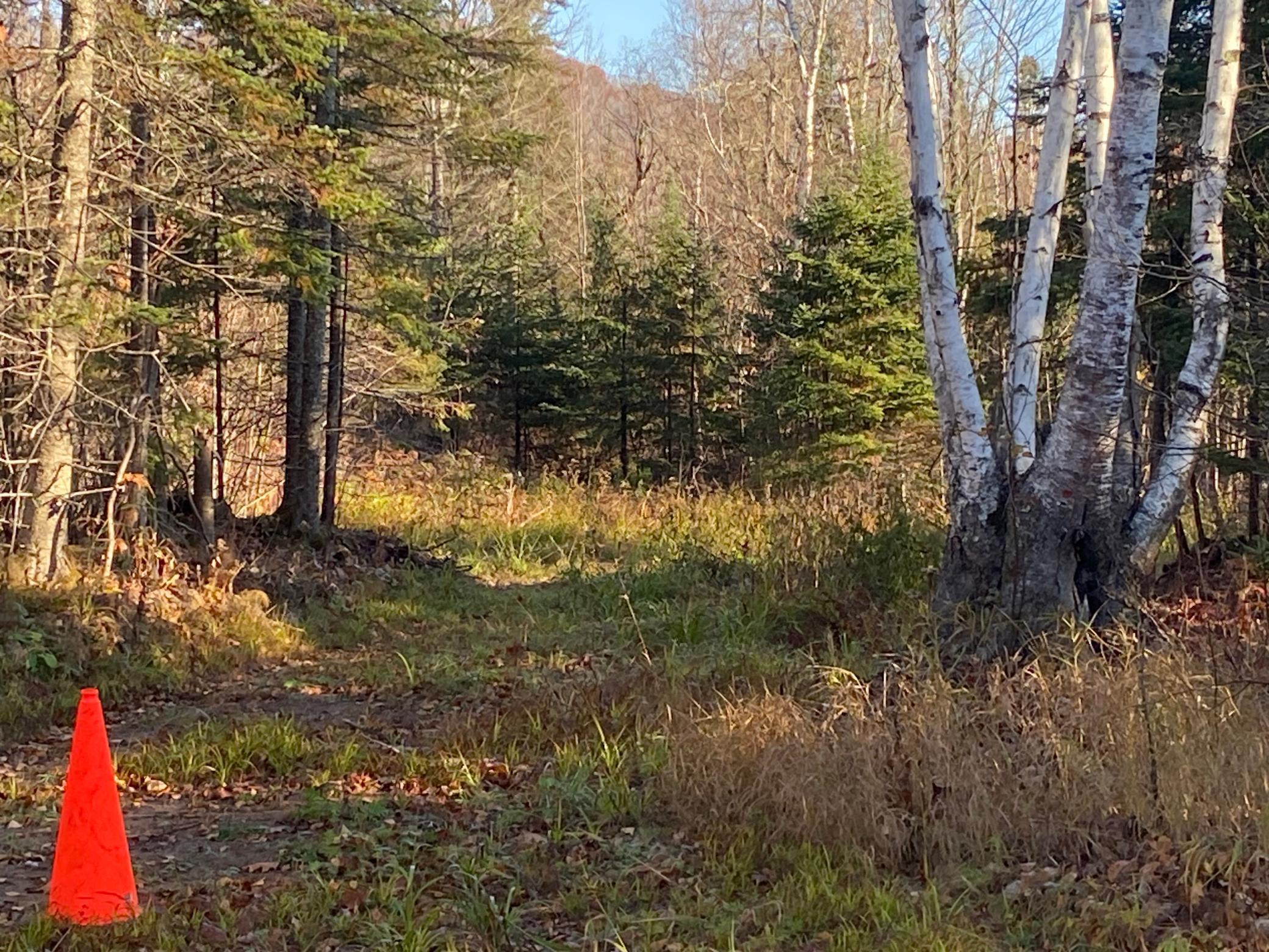 5121 Mt Rockwood Road Silver Bay, MN 55614 - Photo 2 of 3