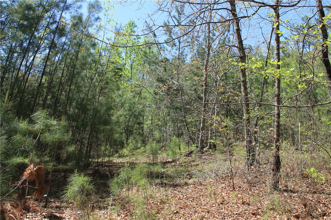 E26 Jocassee Ridge Way Salem, SC 29676 - Photo 8 of 14 Gallery Image 8