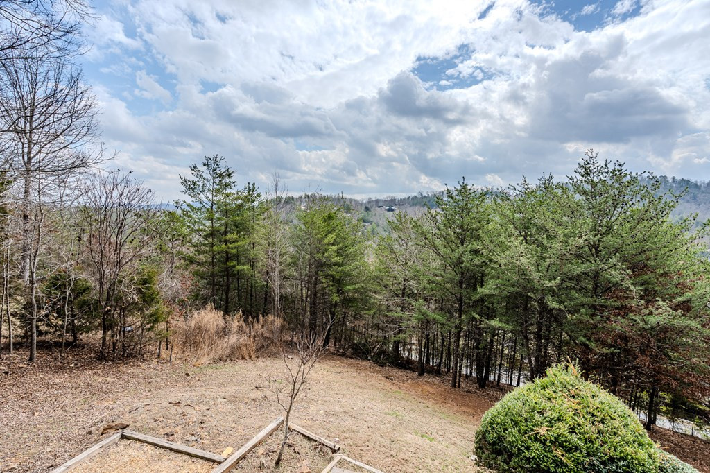 210 Pin Oak Ridge Murphy, NC 28906 - Photo 37 of 51