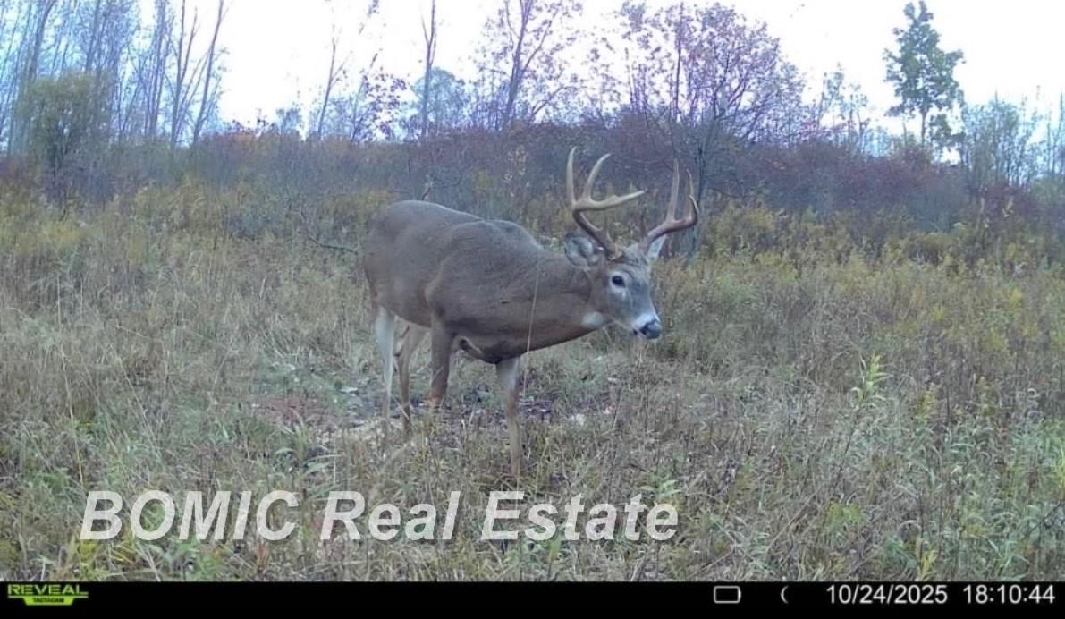 3865 Mushroom Road Caro, MI 48723 - Photo 42 of 44