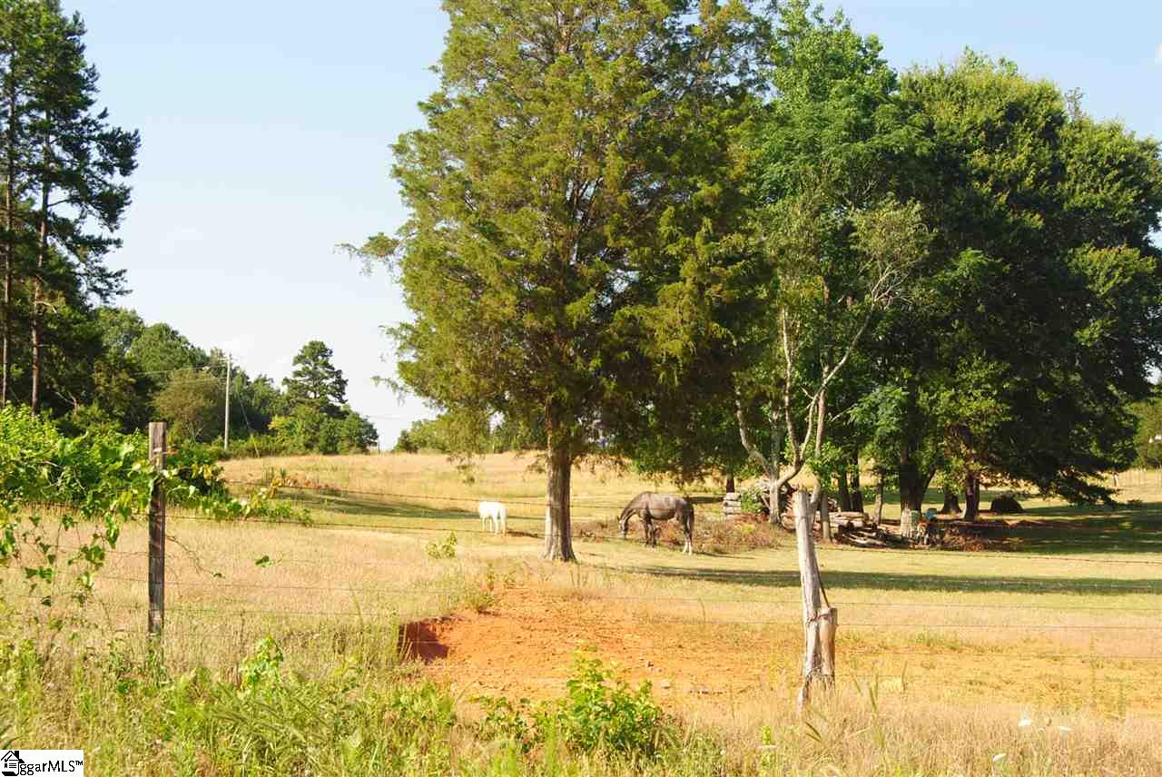 125 Hope Road Gray Court, SC 29645 - Photo 14 of 30