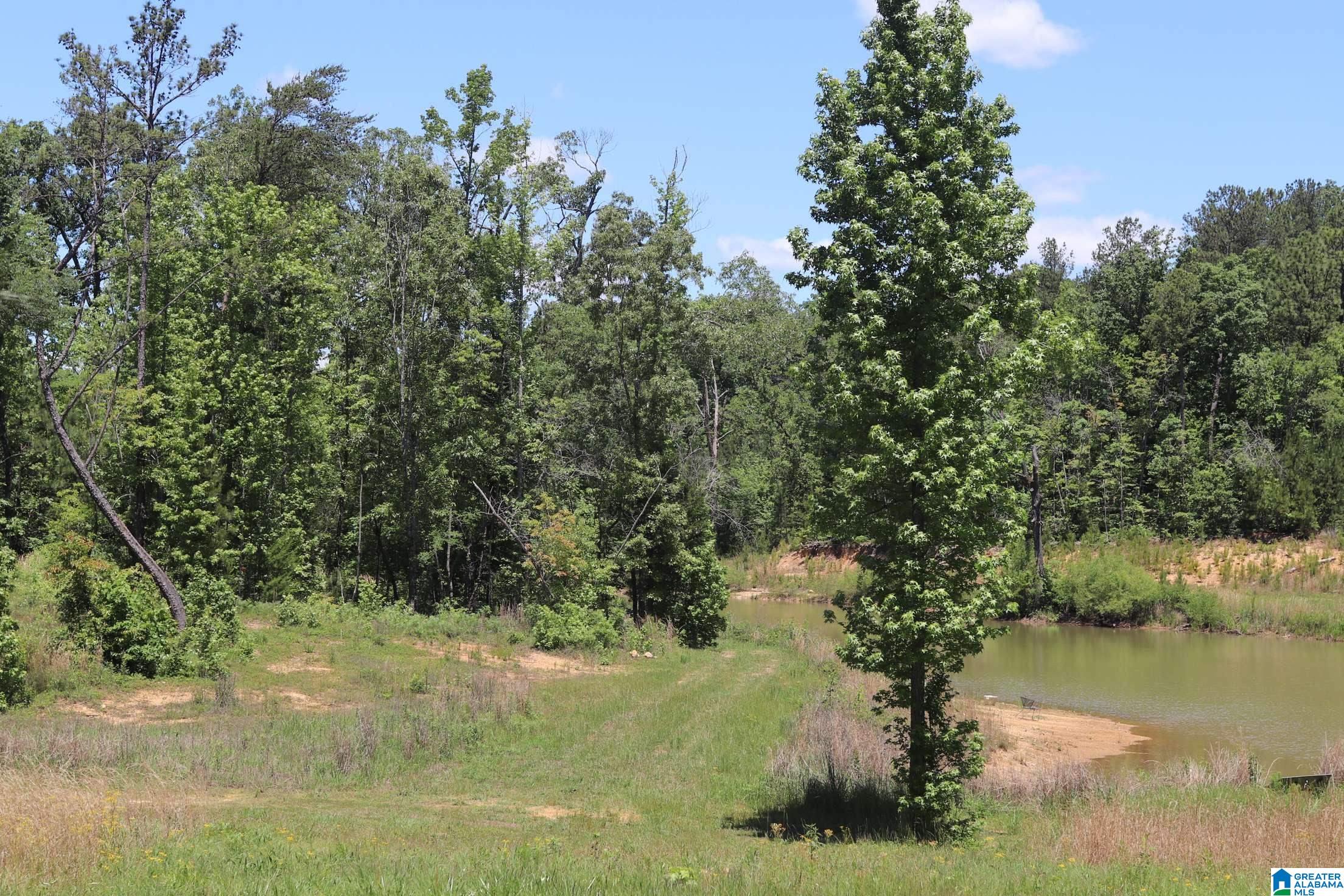 2930 Shocco Springs Road Talladega, AL 35160 - Photo 66 of 93