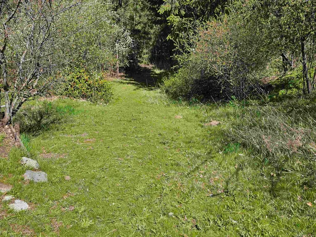 $75,000 | 1001 South Haven Street, Spokane, WA 99202