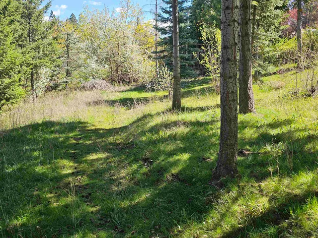 $75,000 | 1001 South Haven Street, Spokane, WA 99202