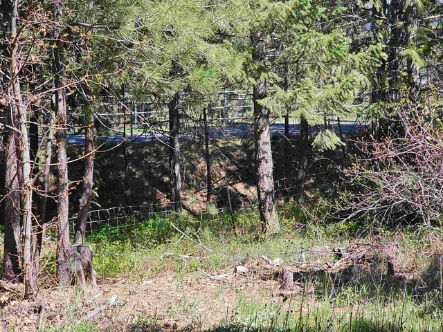 $75,000 | 1001 South Haven Street, Spokane, WA 99202