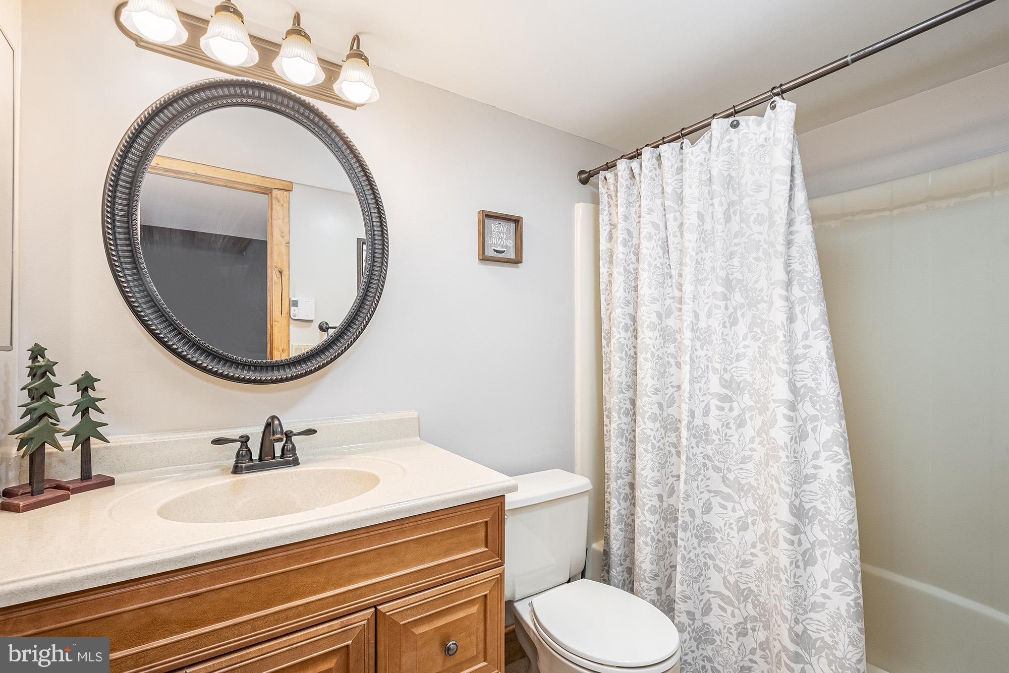 12 Winding Way, Unit 18A McHenry, MD 21541 - Photo 13 of 35 a bathroom with a sink a mirror a toilet and a mirror