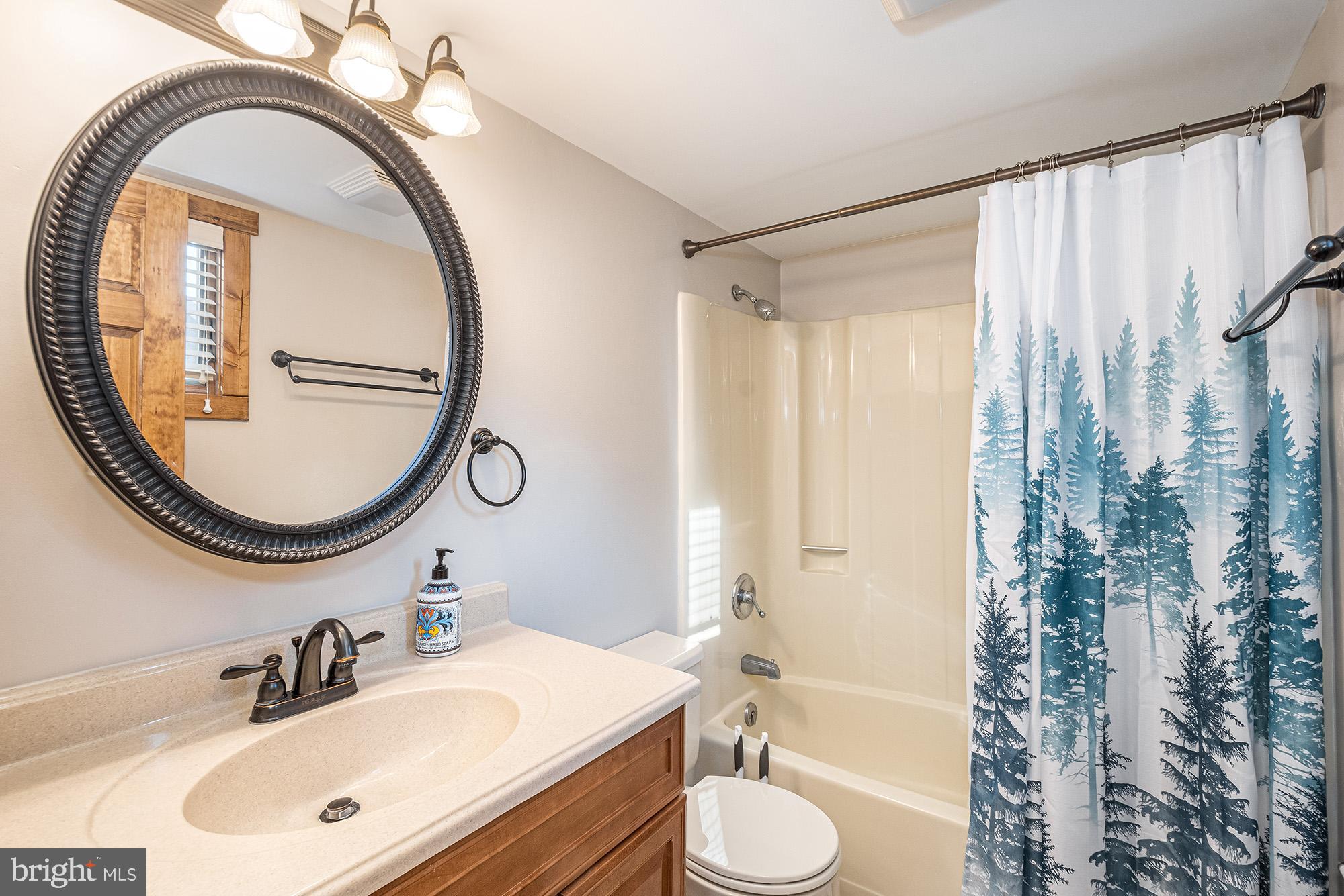 12 Winding Way, Unit 18A McHenry, MD 21541 - Photo 14 of 35 a bathroom with a sink a toilet and a mirror
