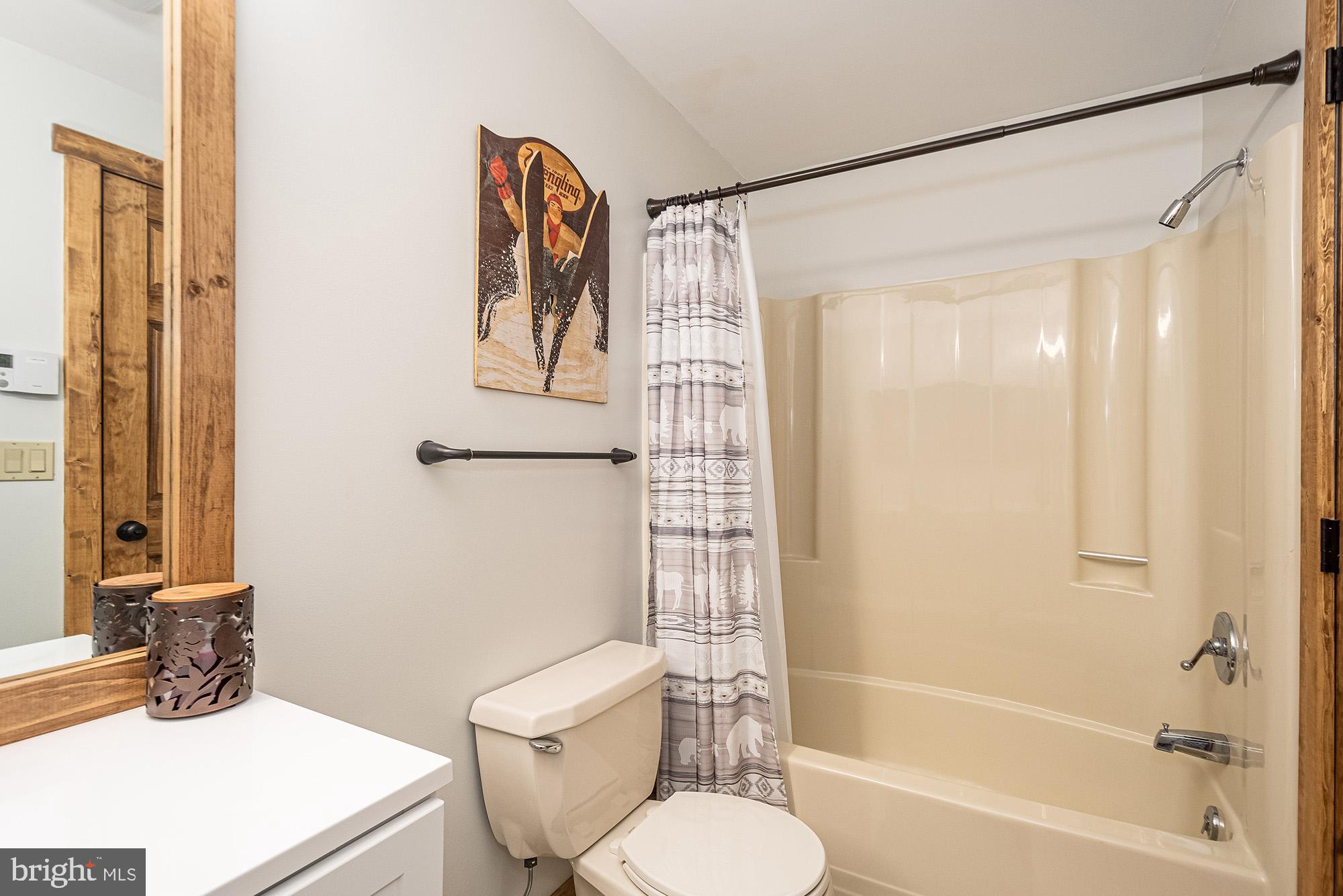 12 Winding Way, Unit 18A McHenry, MD 21541 - Photo 21 of 35 a bathroom with a toilet a sink and shower