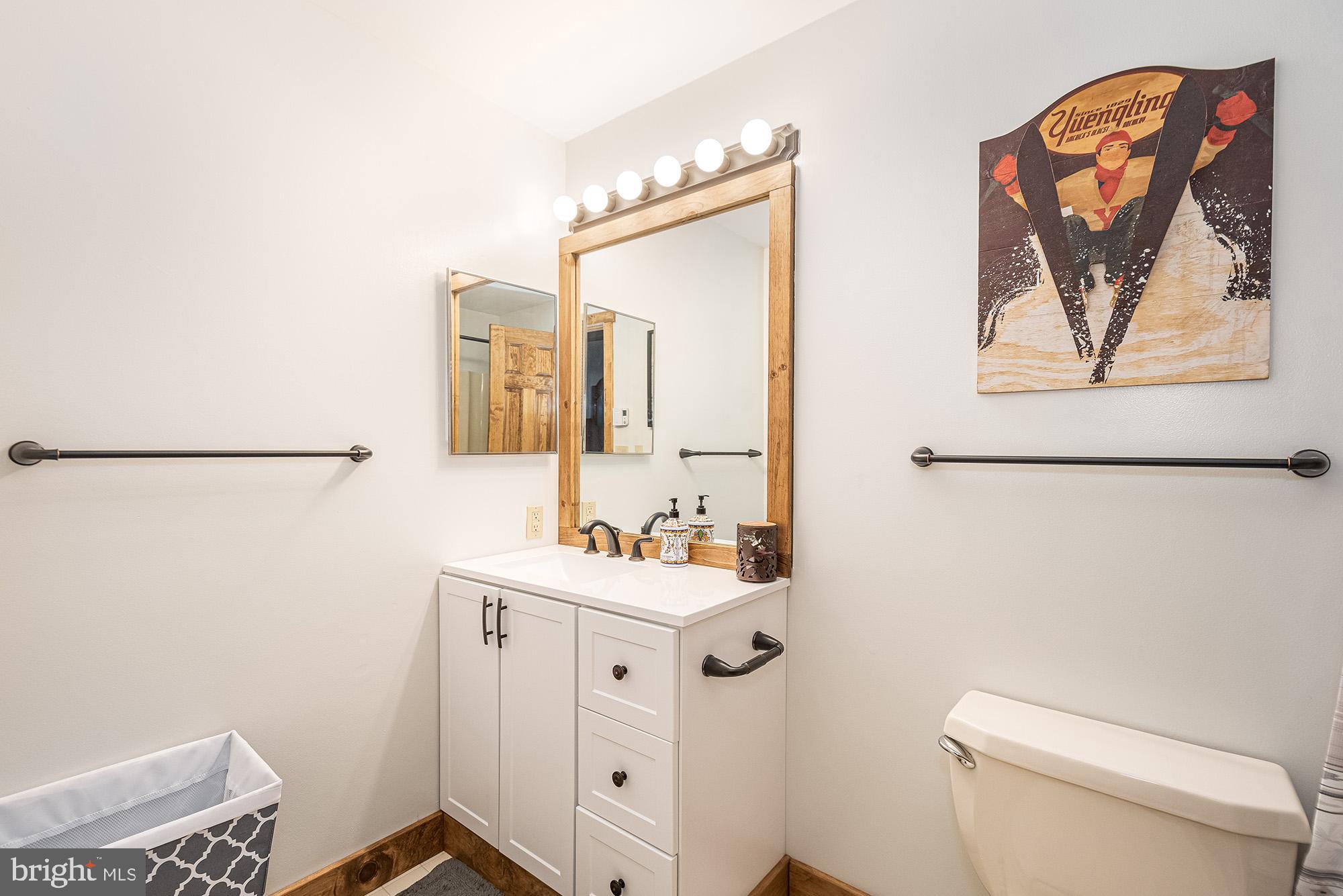 12 Winding Way, Unit 18A McHenry, MD 21541 - Photo 22 of 35 a bathroom with a toilet a sink and a mirror