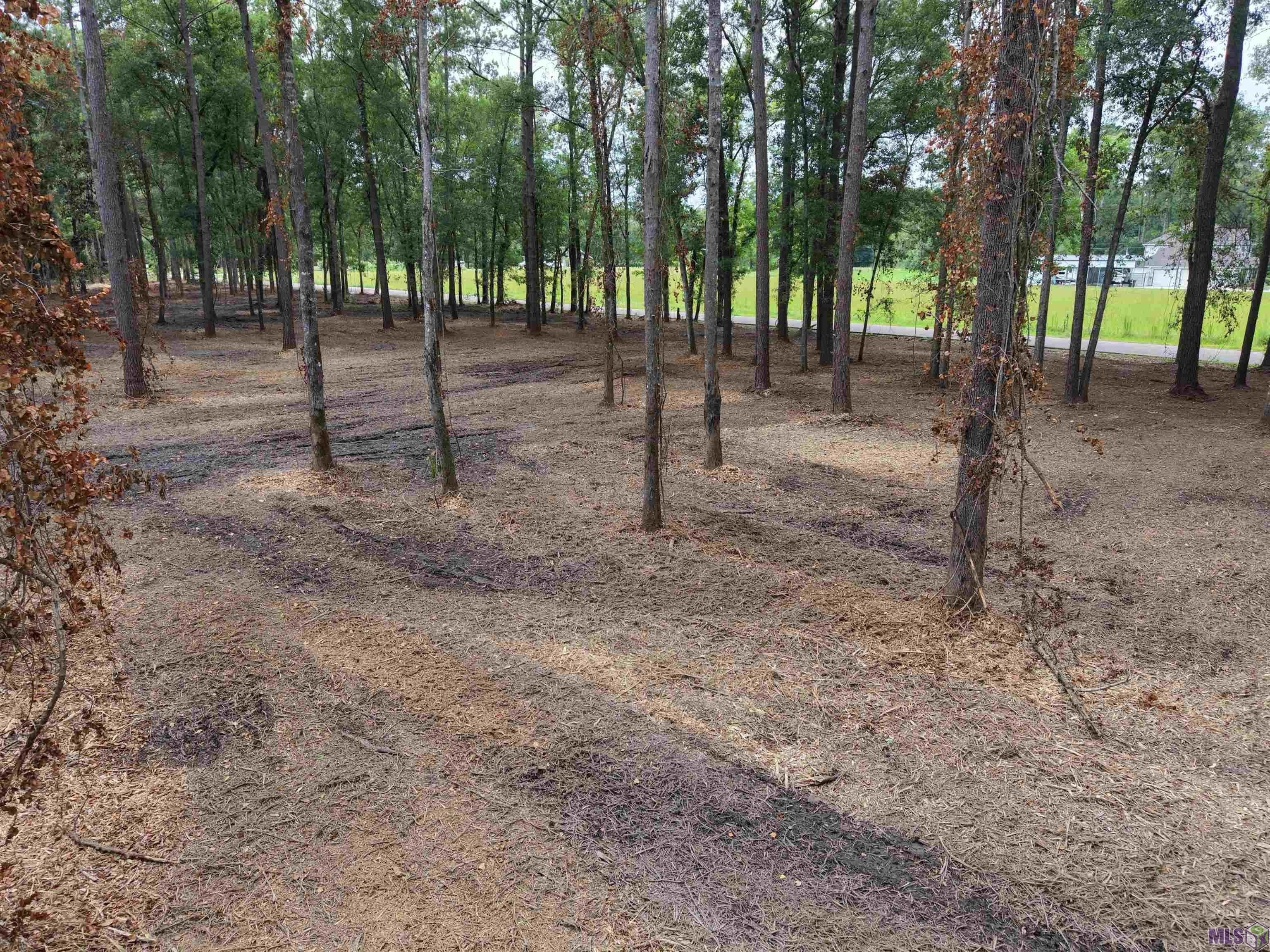 Tract C Esterbrook Road Ponchatoula, LA 70454 - Photo 6 of 13