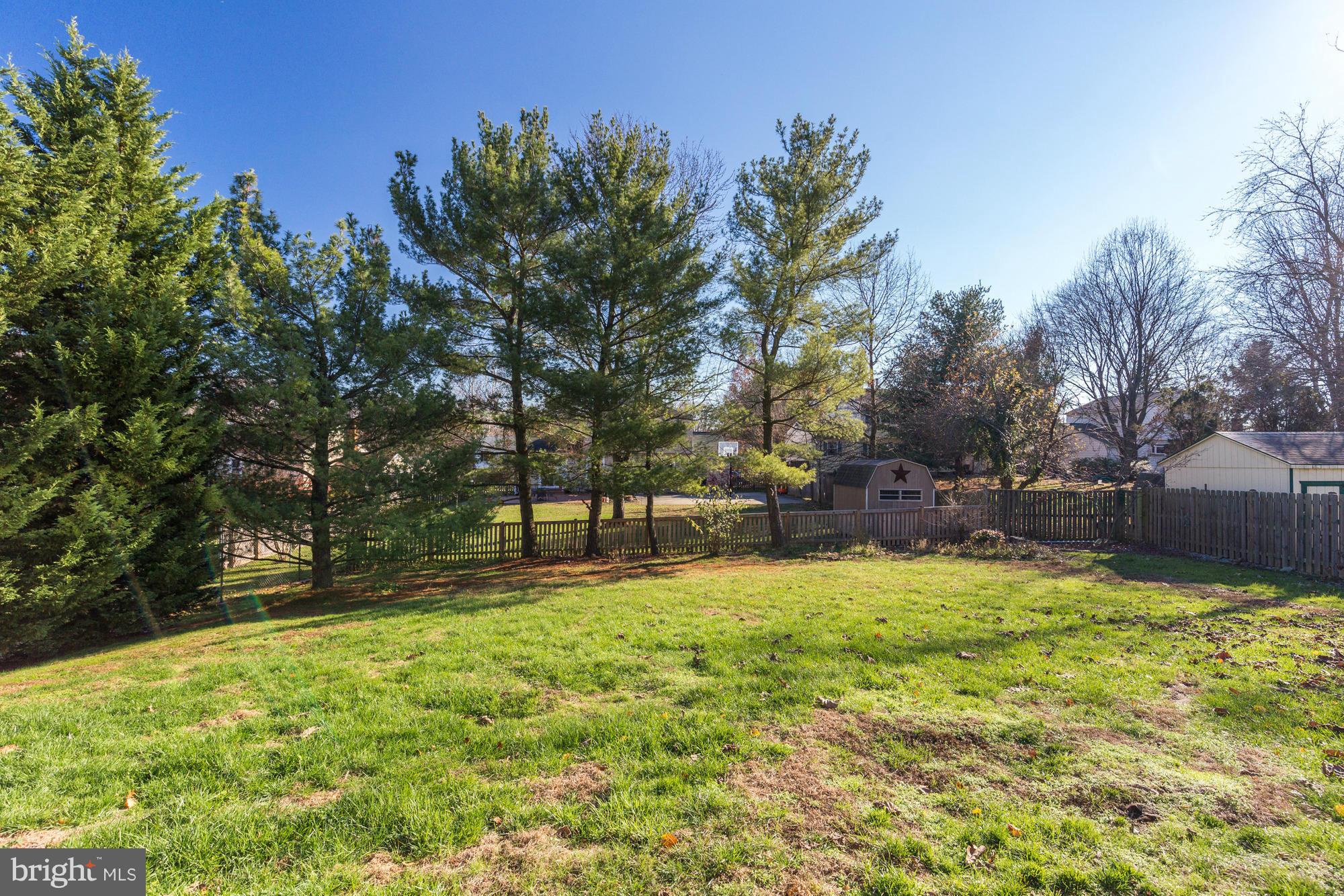 6505 Darwin Road Laurel, MD 20707 - Photo 30 of 30 a view of backyard with tree