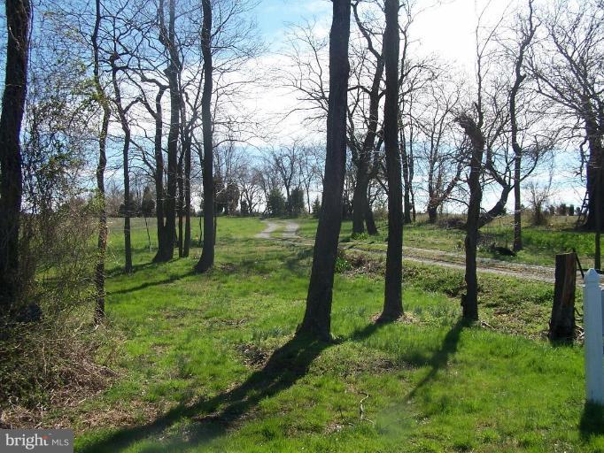 0 Eastern Neck Island Road Rock Hall, MD 21661 - Photo 11 of 14 Wooded View / Acreage