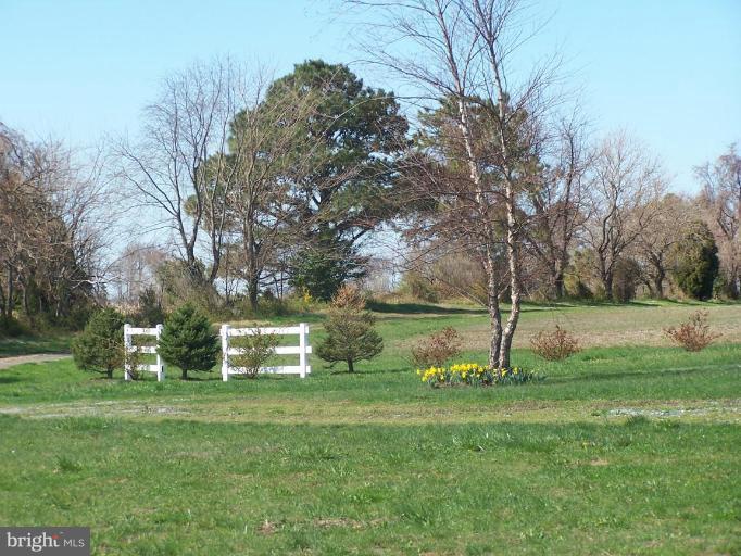 0 Eastern Neck Island Road Rock Hall, MD 21661 - Photo 14 of 14 Exterior #4