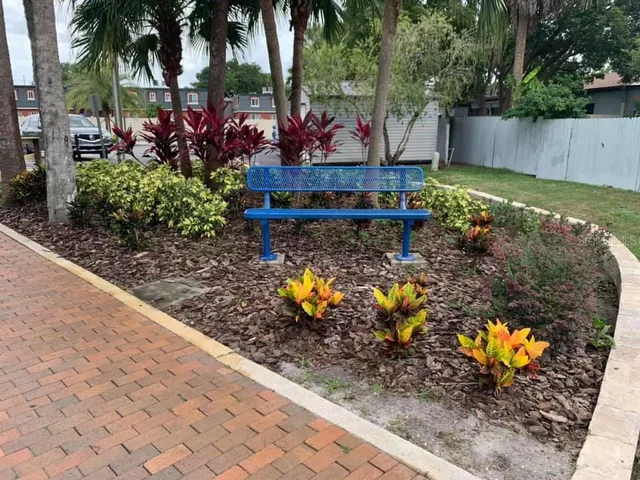 a view of a bunch of flowers and flowers