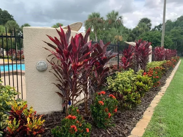 a view of a house with a flower garden