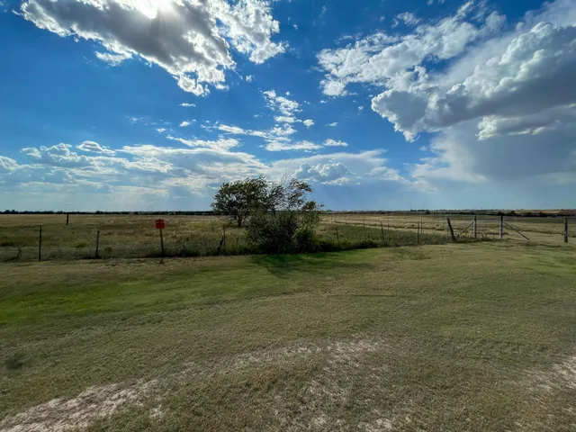 a view of a field with an ocean