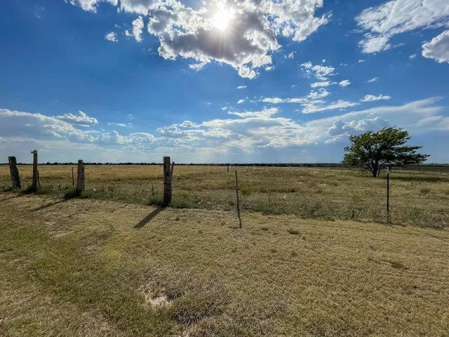 a view of a pathway with a yard
