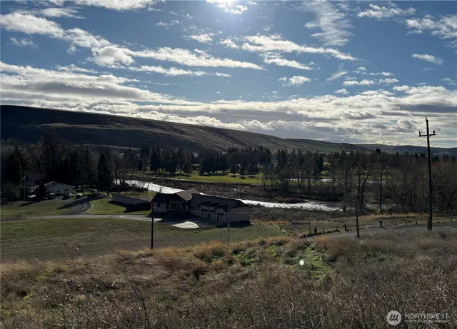 a view of a backyard