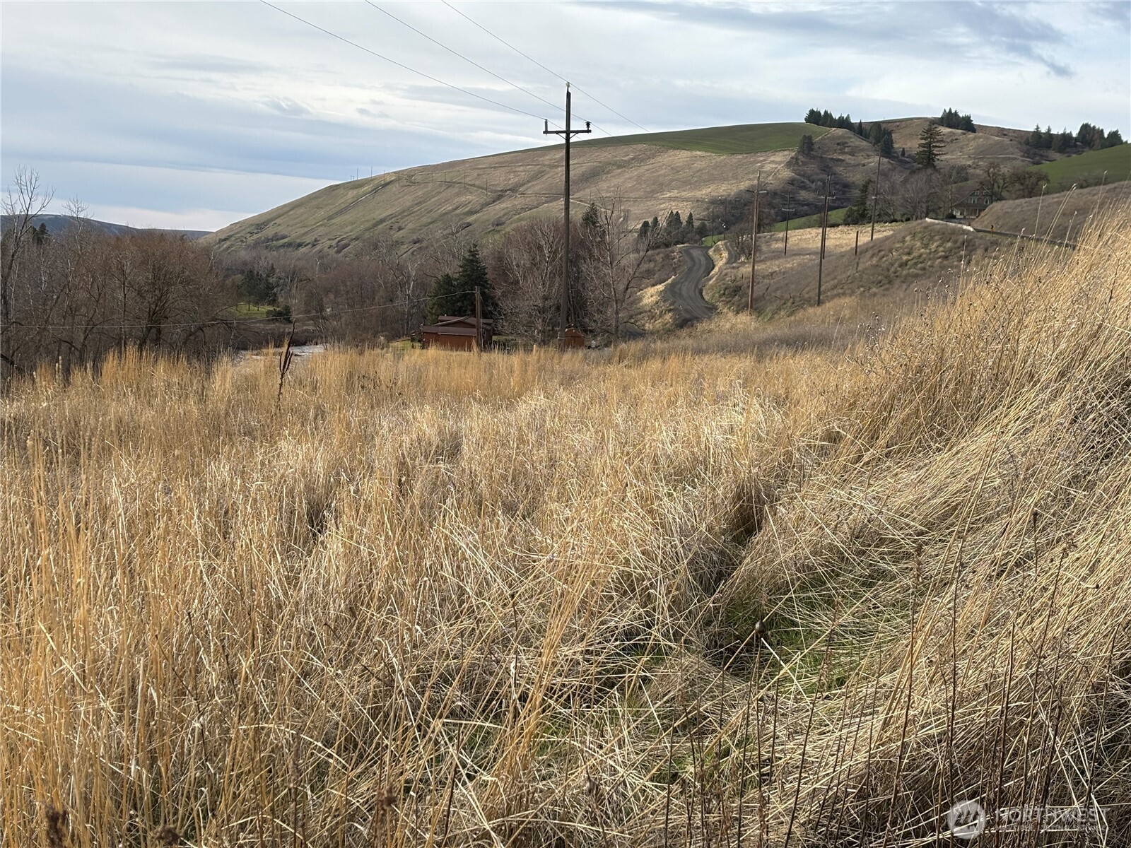 0 Willow Street North Dayton, WA 99328 - Photo 11 of 15 a view of a lake view