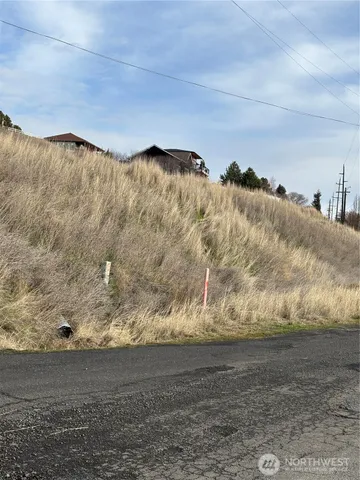 a view of a backyard of a house