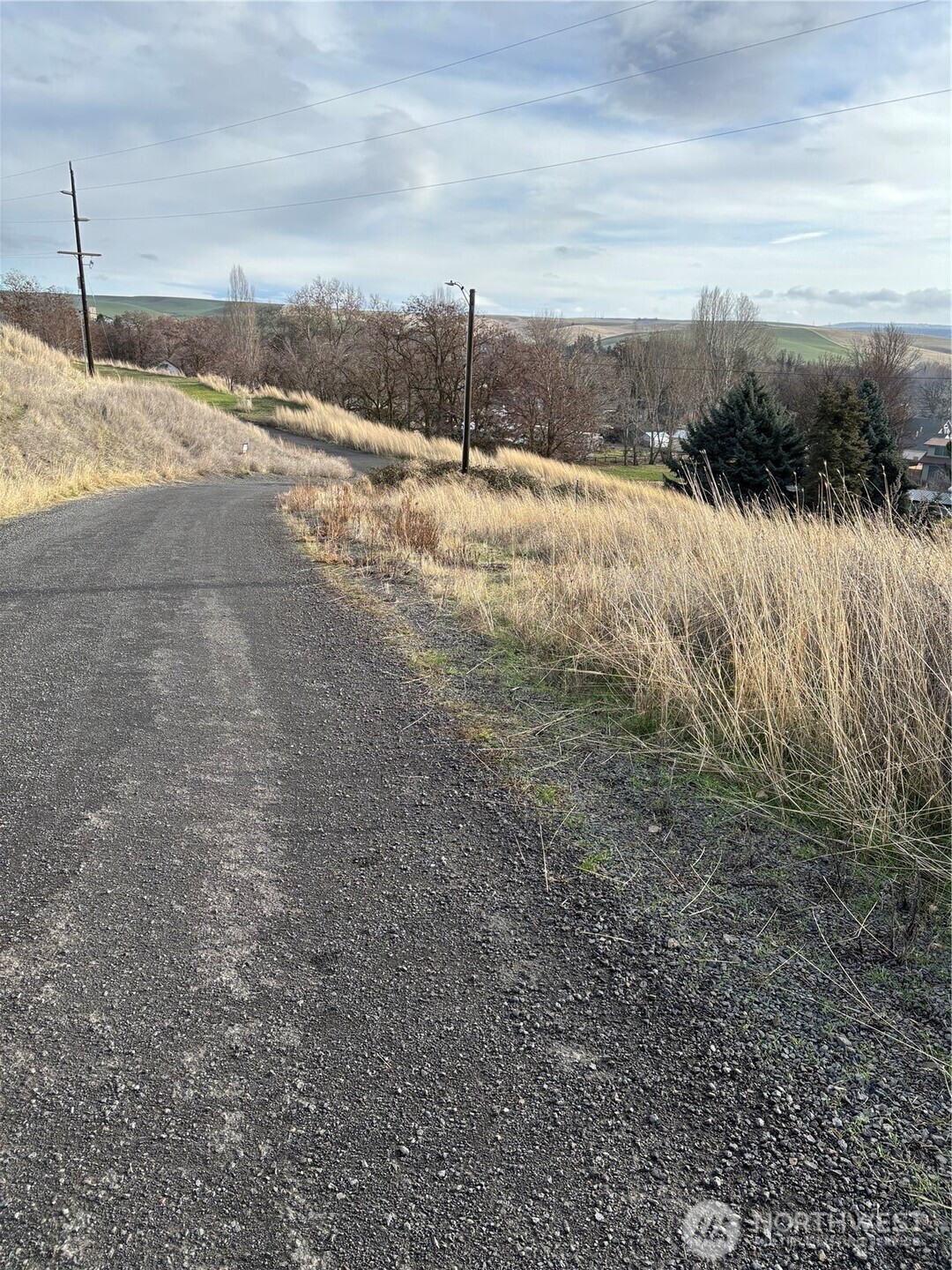 0 Willow Street North Dayton, WA 99328 - Photo 14 of 15 a view of a backyard of a house