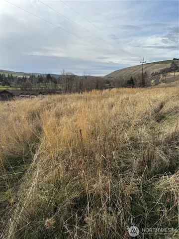 $130,000 | 0 Willow Street North, Dayton, WA 99328