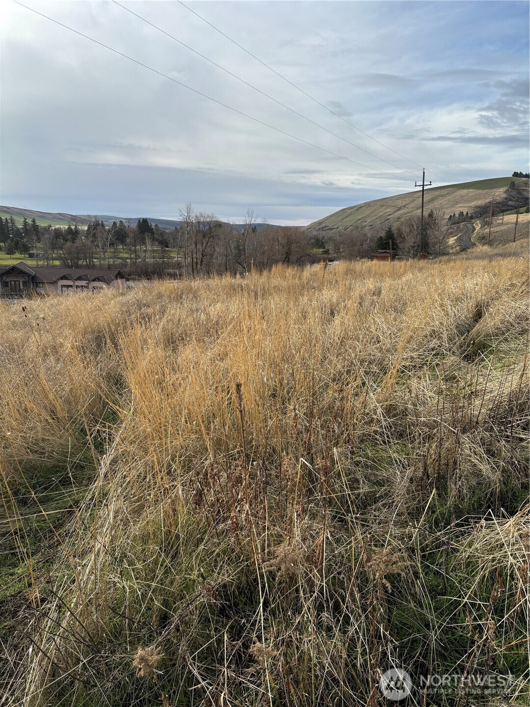 0 Willow Street North Dayton, WA 99328 - Photo 15 of 15 a view of a lake and mountain in the back