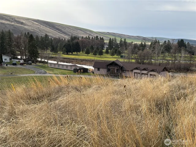 a view of swimming pool with lawn chairs and large trees