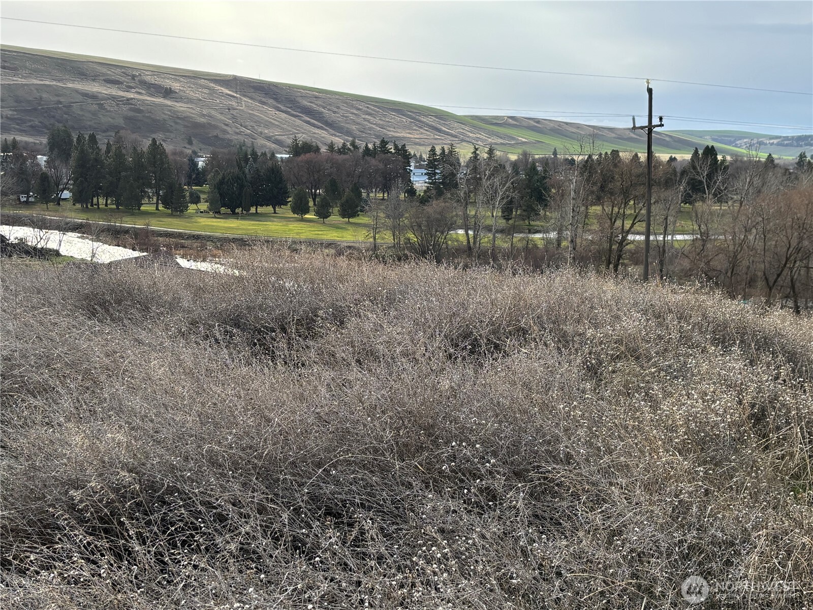 0 Willow Street North Dayton, WA 99328 - Photo 3 of 15 a view of a yard in front of house