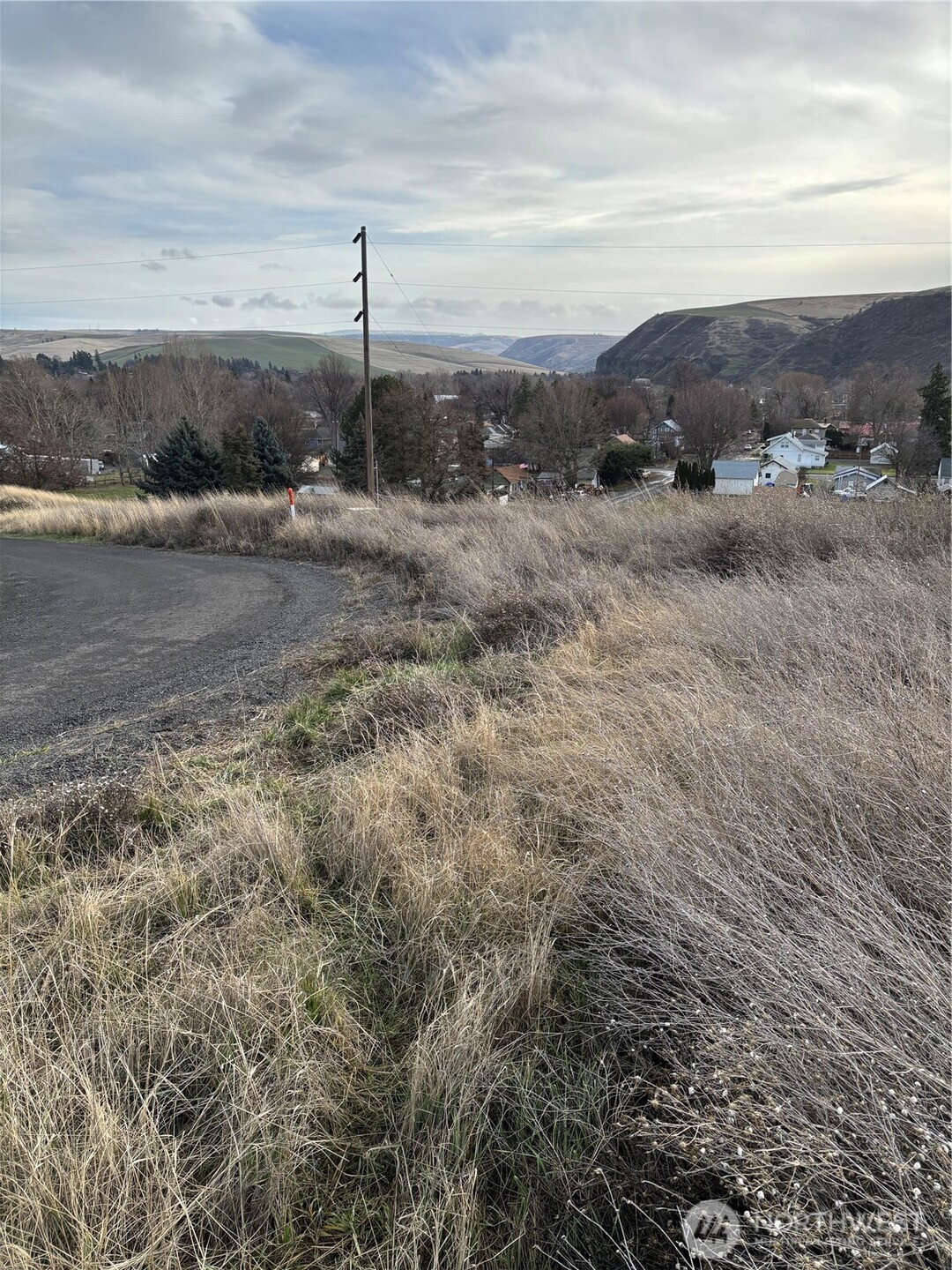 0 Willow Street North Dayton, WA 99328 - Photo 6 of 15 a view of a backyard