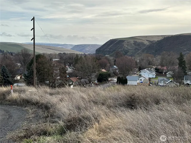 a view of a outdoor space with green field and mountains