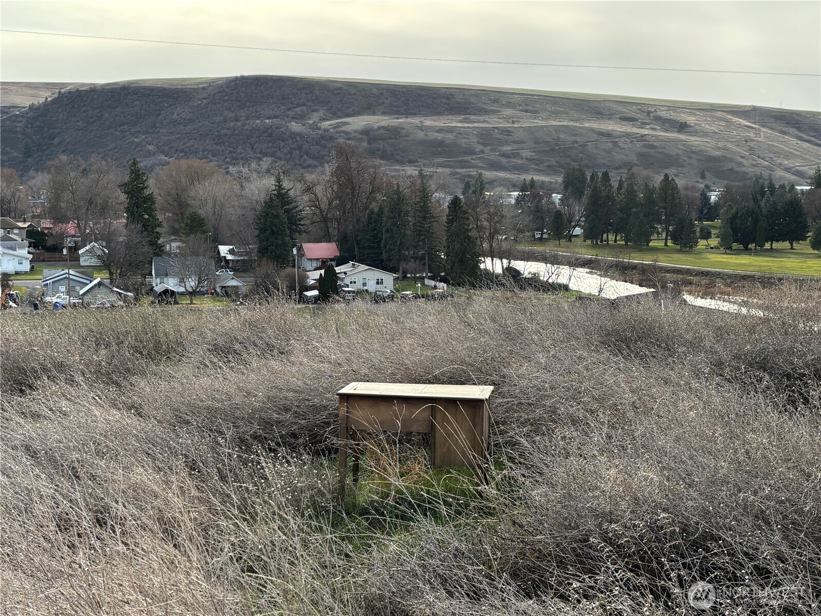 0 Willow Street North Dayton, WA 99328 - Photo 9 of 15 a view of a outdoor space with green field and mountains