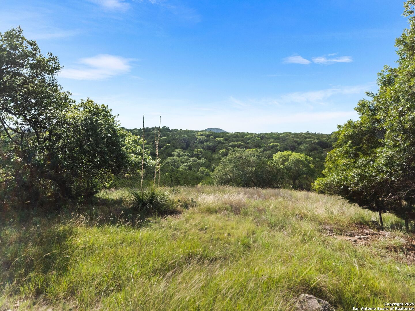 4366 Whartons Dock Road Bandera, TX 78003 - Photo 1 of 80 a view of mountain view with lots of trees