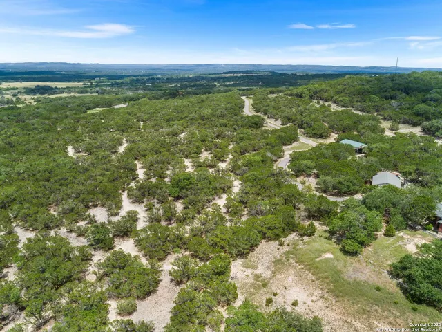 a view of a big yard with plants and large trees