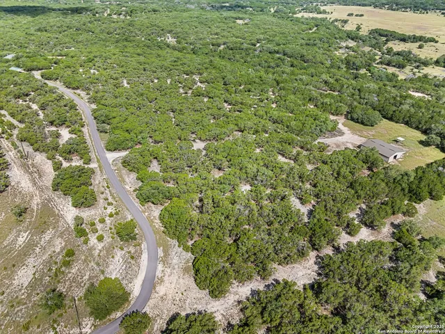 a view of a yard with a tree
