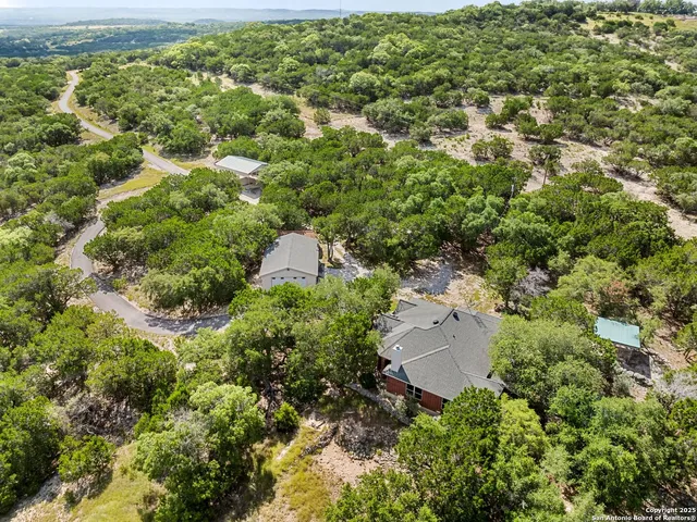 a view of a yard with plants and trees