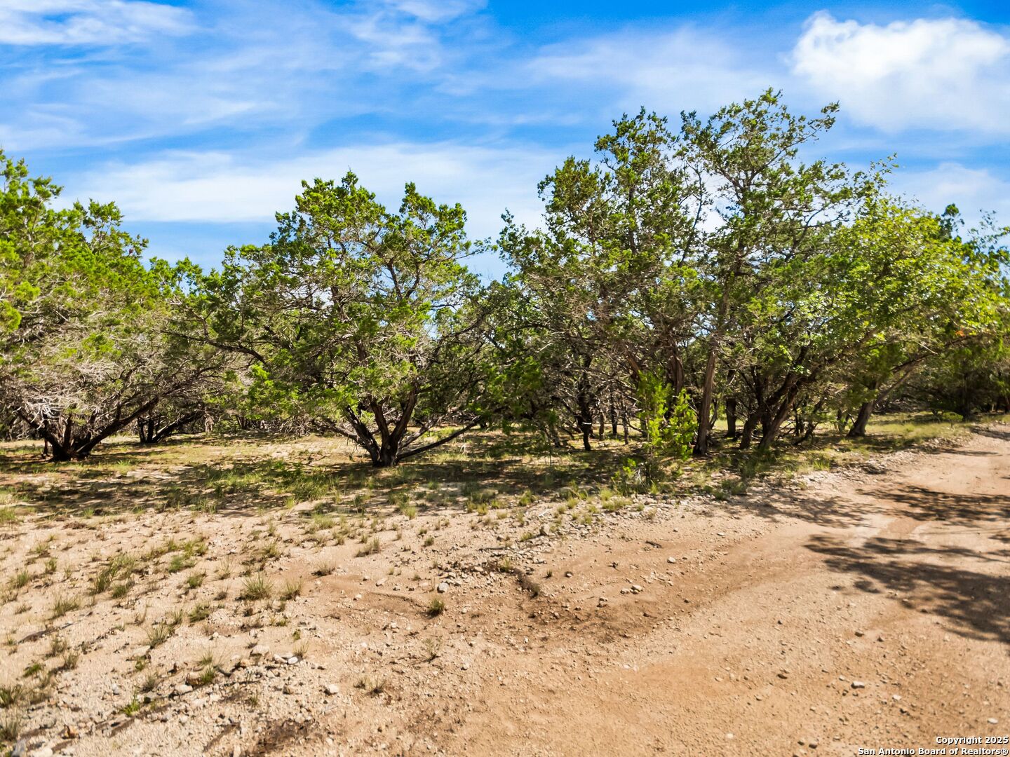 4366 Whartons Dock Road Bandera, TX 78003 - Photo 47 of 80 a view of a yard with trees