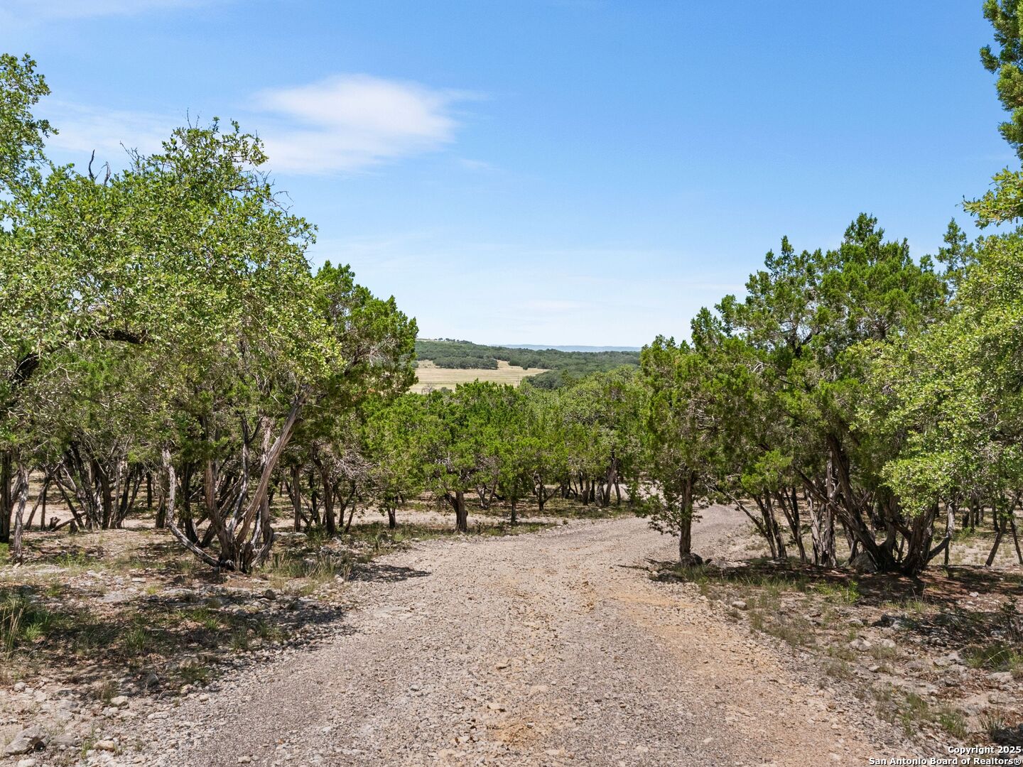 4366 Whartons Dock Road Bandera, TX 78003 - Photo 5 of 80