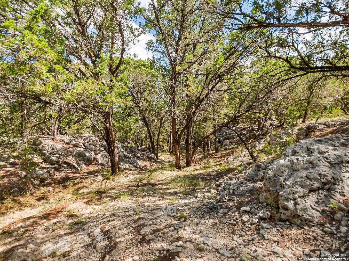 4366 Whartons Dock Road Bandera, TX 78003 - Photo 59 of 80 a view of a yard with a tree