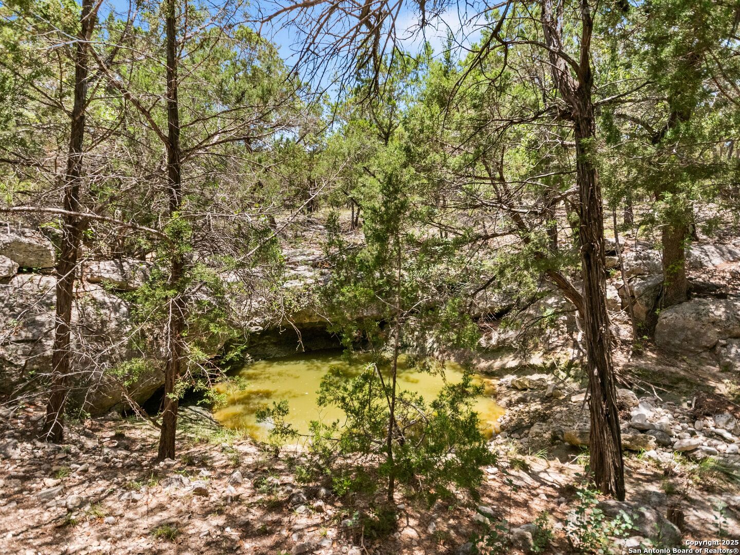 4366 Whartons Dock Road Bandera, TX 78003 - Photo 6 of 80 a view of outdoor space and a yard