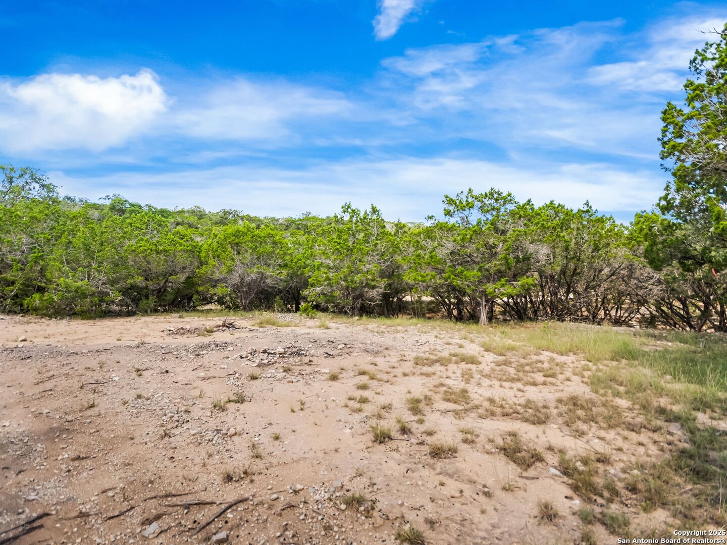 4366 Whartons Dock Road Bandera, TX 78003 - Photo 61 of 80 a view of a yard with a tree