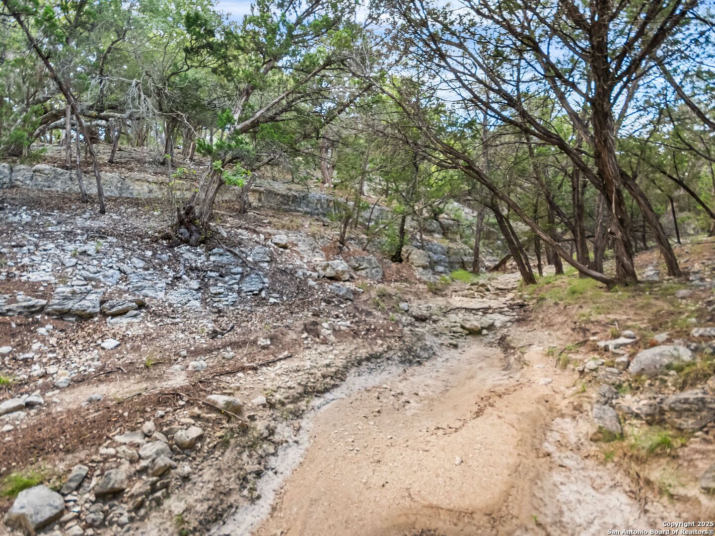 4366 Whartons Dock Road Bandera, TX 78003 - Photo 62 of 80 a view of a yard with a tree