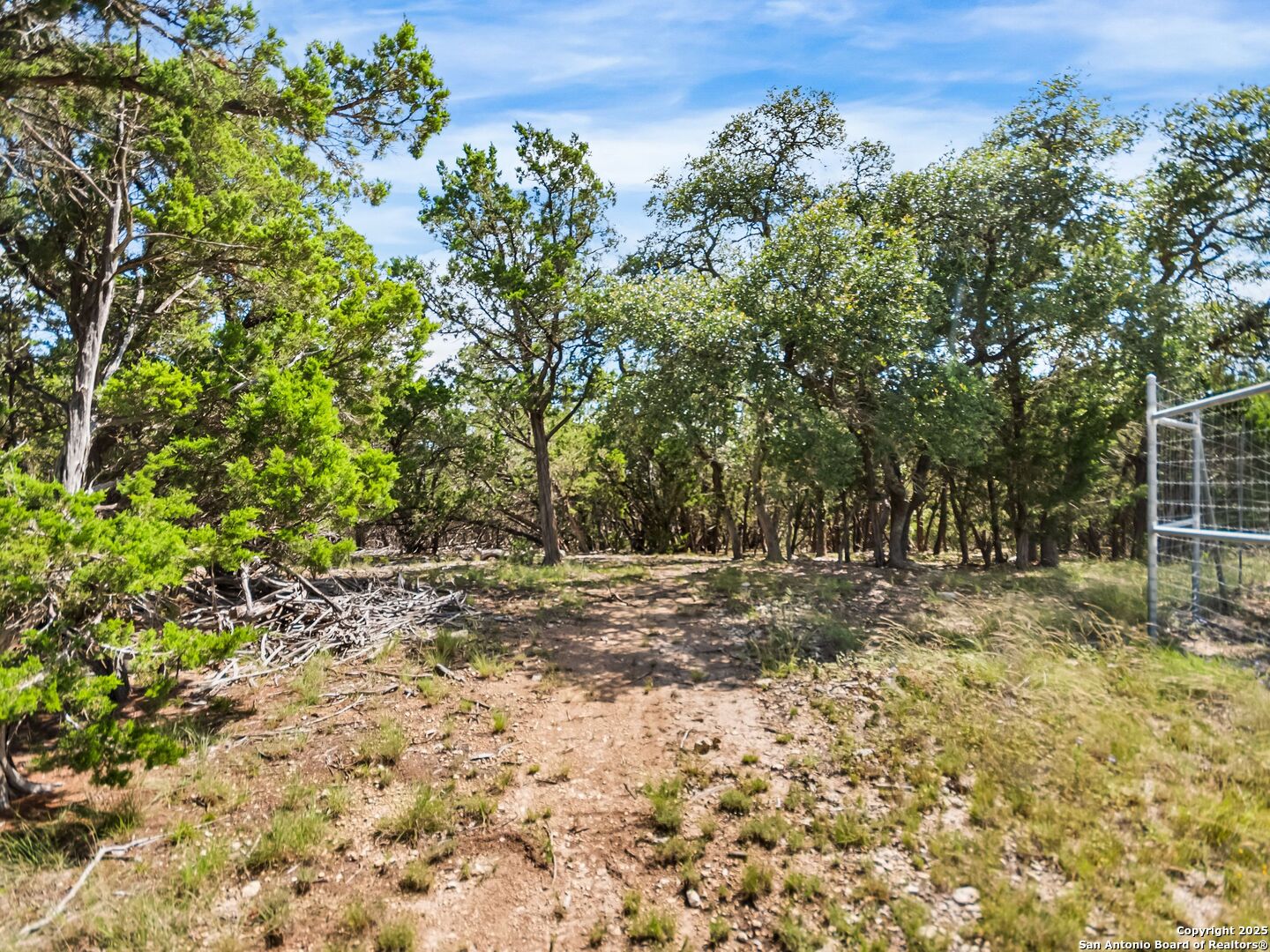 4366 Whartons Dock Road Bandera, TX 78003 - Photo 63 of 80 a view of a yard with plants and trees