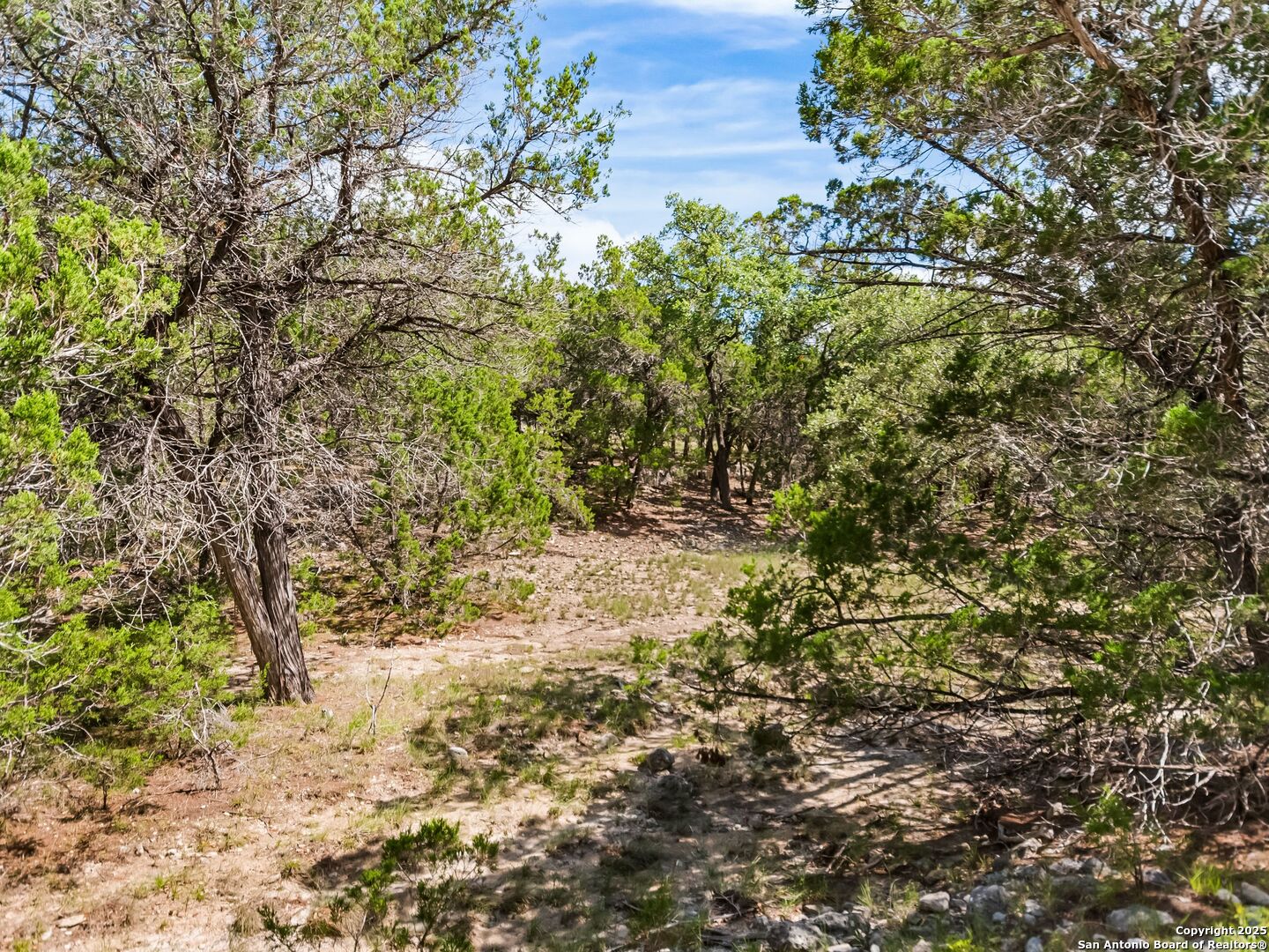 4366 Whartons Dock Road Bandera, TX 78003 - Photo 67 of 80 a view of a yard with plants and trees