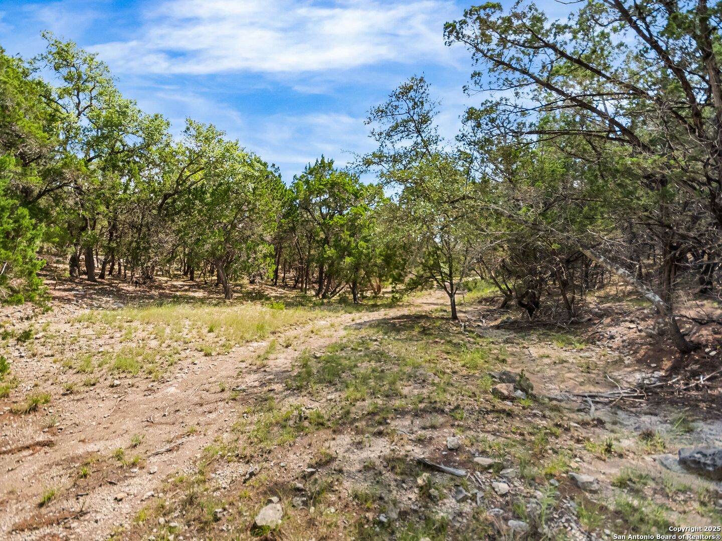 4366 Whartons Dock Road Bandera, TX 78003 - Photo 68 of 80 a view of outdoor space with trees
